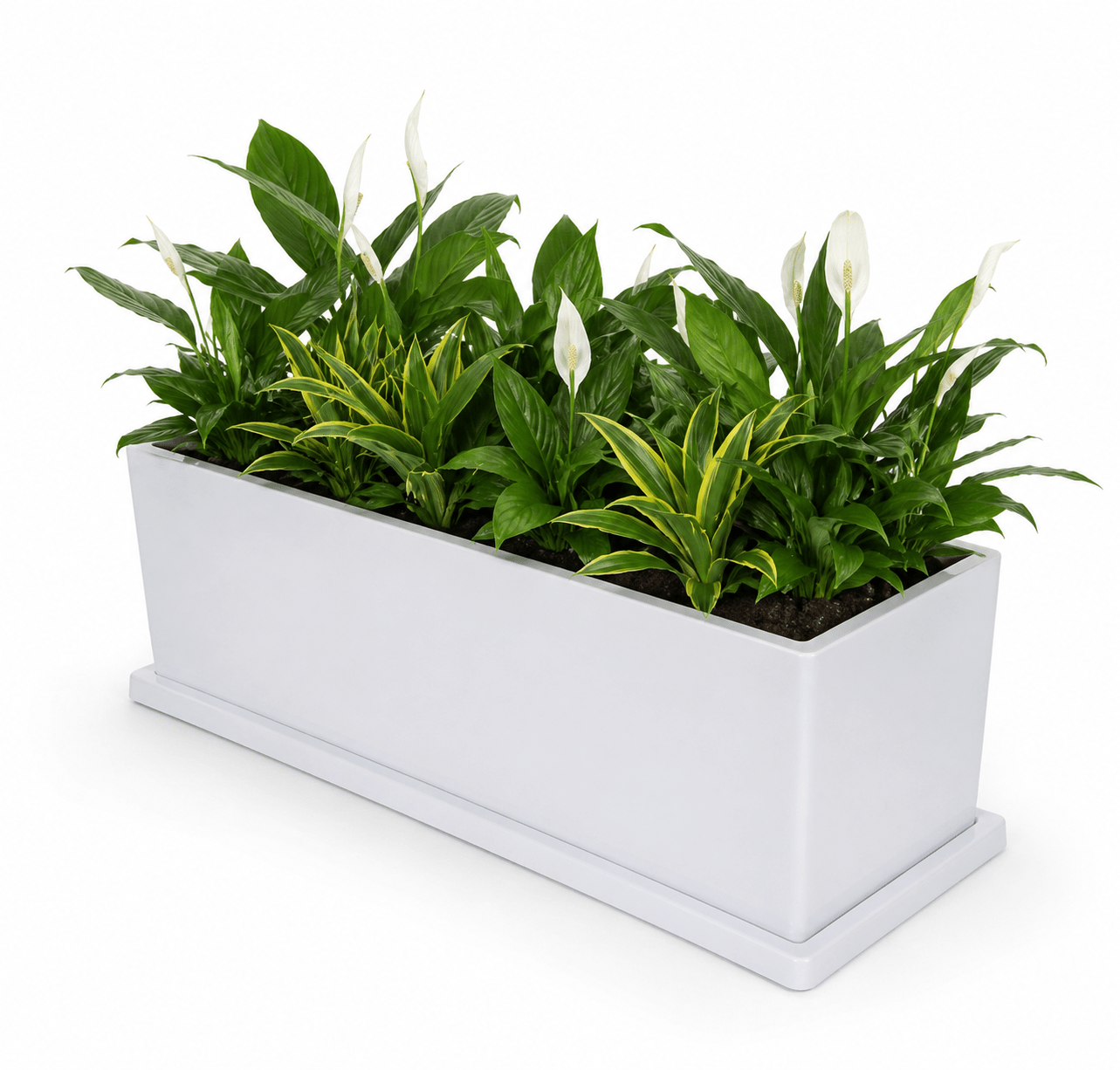 Jardinera - Maceta Rectangular - Fibra de vidrio - blanco - Imagen 2