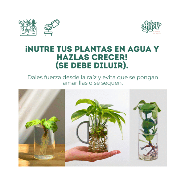 Growth 250ml - Imagen 2