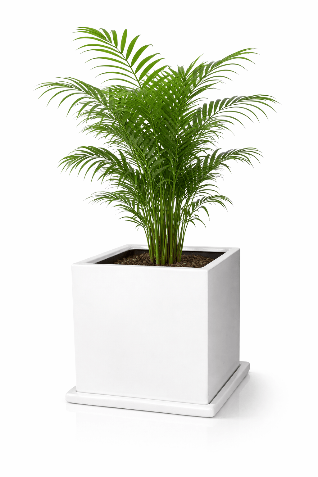 Cubo - Maceta de fibra de vidrio - Blanco - 30*30cm - Imagen 2