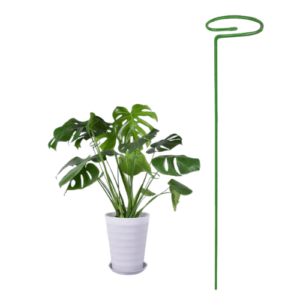 Estaca para plantas - soportes de metal de una sola varilla 35cm y 75 cm